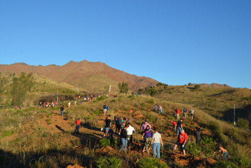 evento-verde-Reforestacion-con-empresas-RSC-exploramas-3