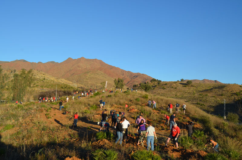 compromiso reforestacion exploramas