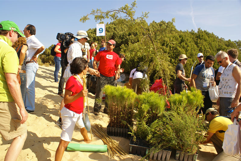 team-building-Reforestation