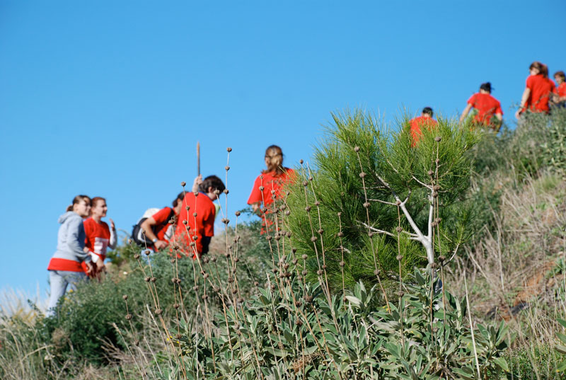 reforestacion rio fuengirola exploramas rsc