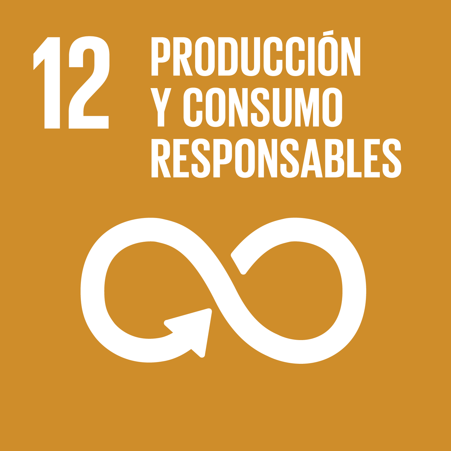 ODS 12 Produccion y consumo responsables 