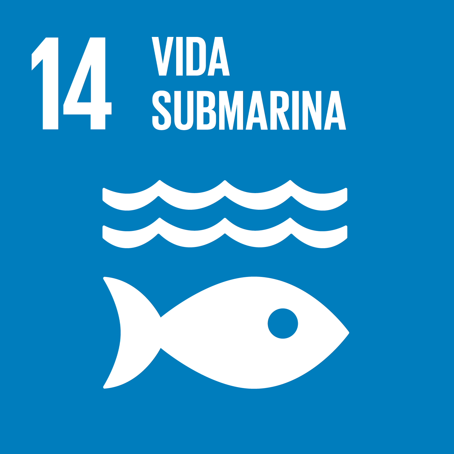 ODS 14 Vida submarina 