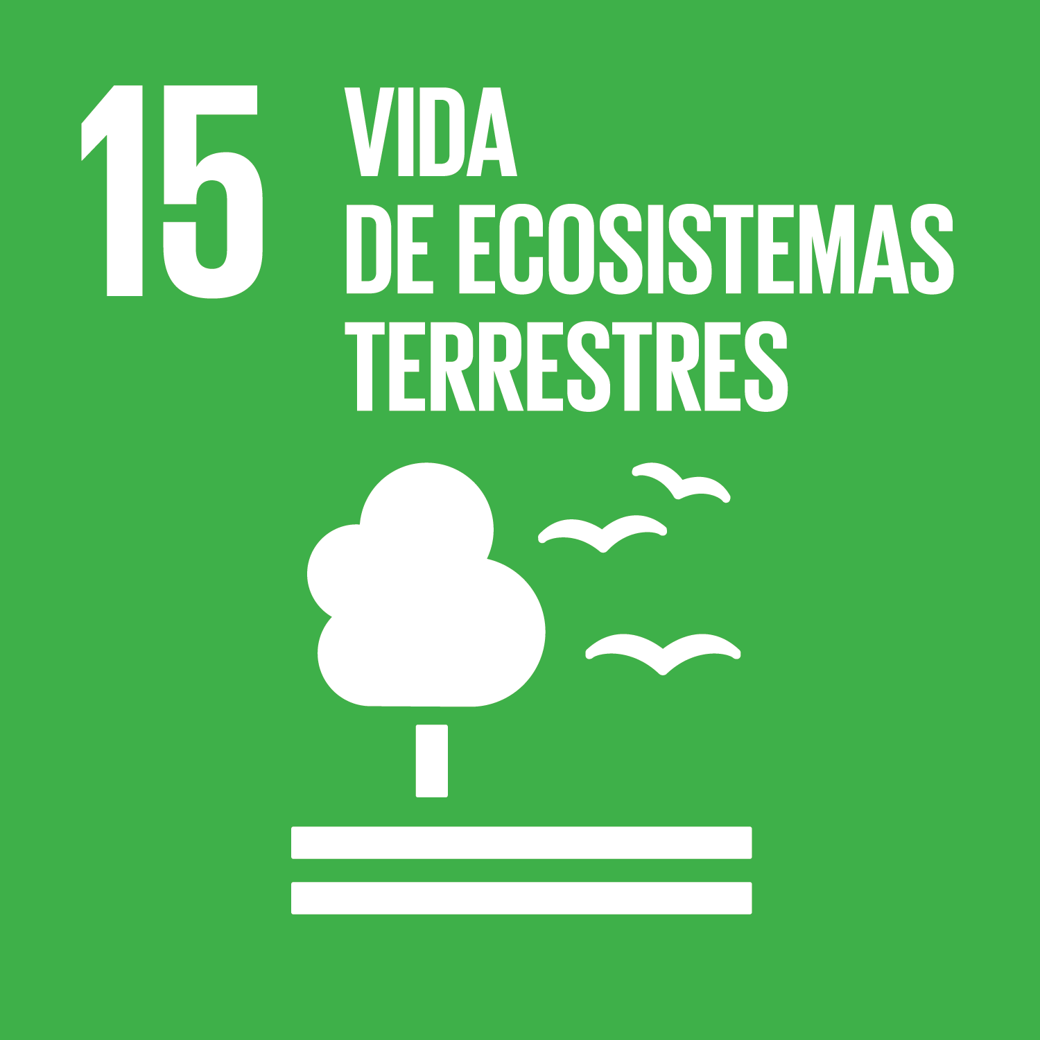 ODS 15 Vida de ecosistemas terrestres 