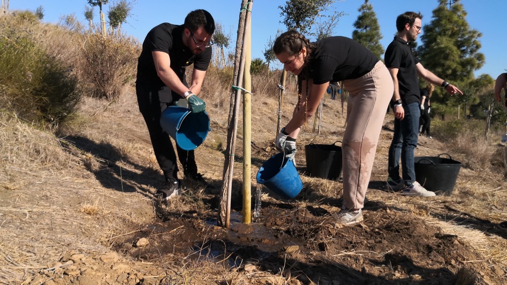 actividades Objetivos de Desarrollo Sostenible exploramas bosque urbano